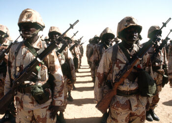 Soldiers in a Niger army unit stand in formation while a dignitary visits their outpost during Operation Desert Shield.  The men are armed with M-14 rifles.